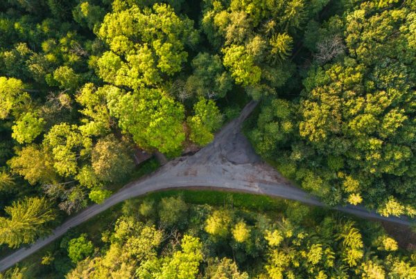 not all roads