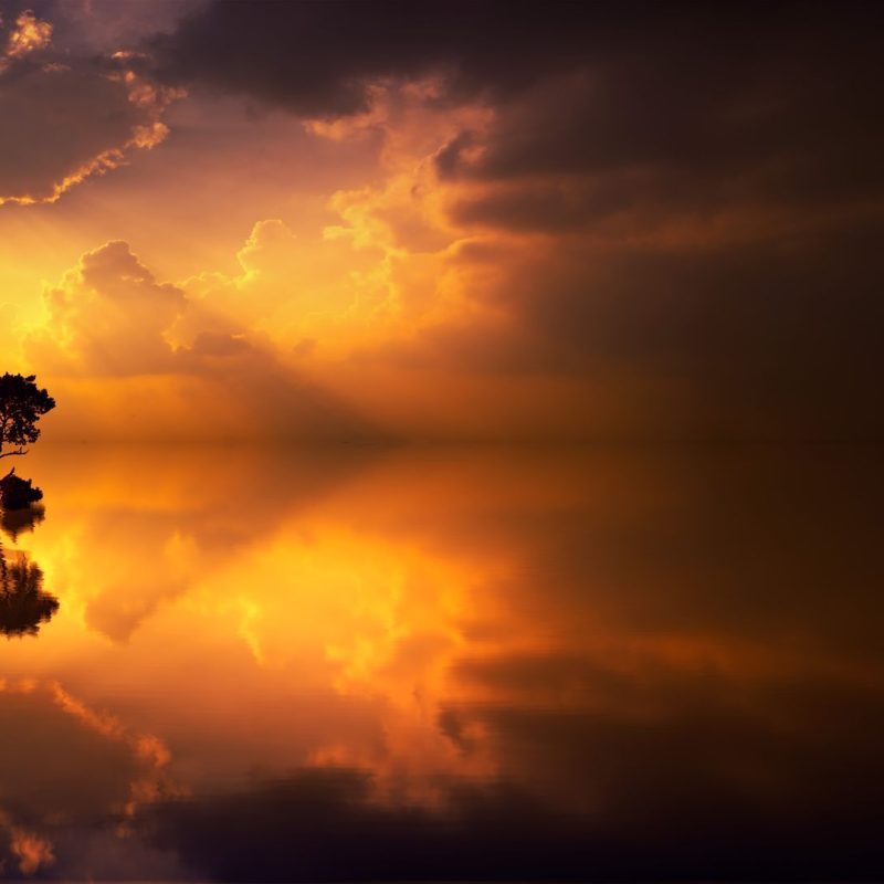 You're Not Alone - Live Q&A